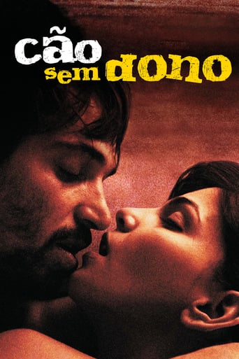 Cão Sem Dono (2008)