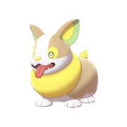 Yamper