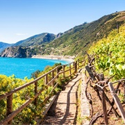 Alta via Delle Cinque Terre