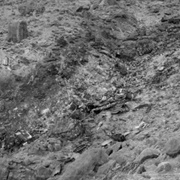 1956 Grand Canyon Mid-Air Collision (Grand Canyon National Park)