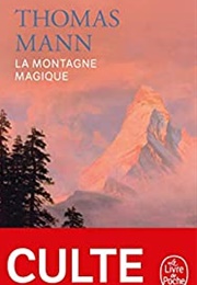 La Montagne Magique (Thomas Mann)