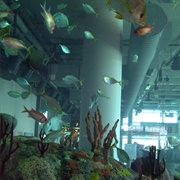 Charleston Aquarium