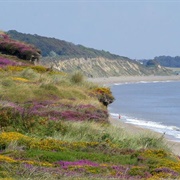 Dunwich Heath and Beach