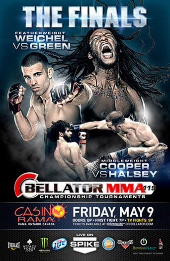 Bellator 119 (2014)