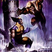 Wolverine vs. Sabretooth