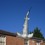 Headington Shark