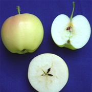 Pristine Apple