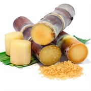 Sugarcane