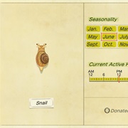 Snail
