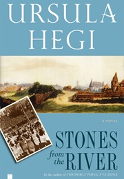 Stones From the River (Ursula Hegi)