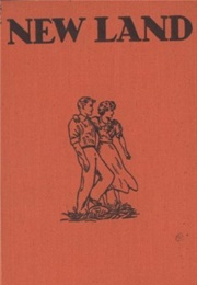 New Land: A Novel for Boys and Girls (Sarah Lindsay Schmidt)