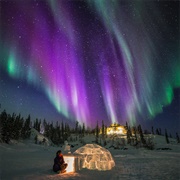 See the Northern Lights (NT)