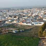 El Cuervo De Sevilla