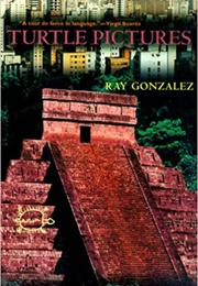 Turtle Pictures (Ray Gonzalez)