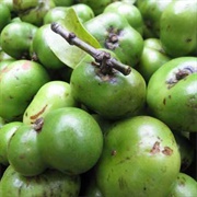 Binukaw (Garcinia Binucao)