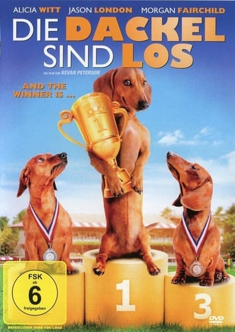 Wiener Dog Nationals (2013)
