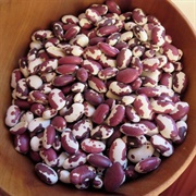 Anasazi Bean