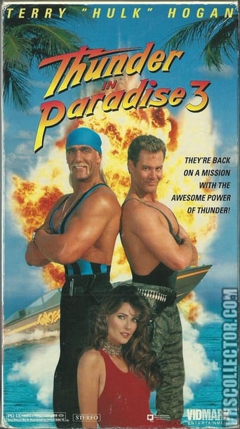 Thunder in Paradise 3 (1995)