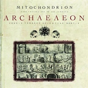 Mitochondrion - Archaeaeon