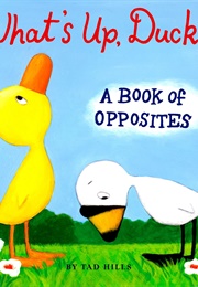 What's Up, Duck?: A Book of Opposites (Tad Hills)