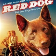 Red Dog
