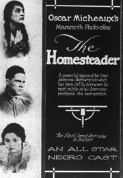 The Homesteader (1919)