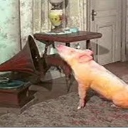 Arnold the Pig-Green Acres