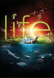Life (2009)