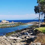 Mayne Island, BC, Canada