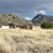 Fort Bowie & Apache Pass (Bowie)