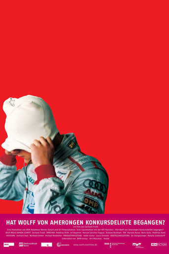 Wolff Von Amerongen: Did He Commit Bancruptcy Offences? (2004)