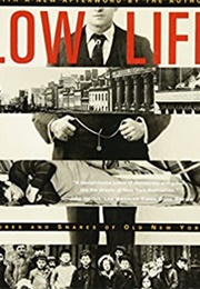 Low Life (Luc Sante)