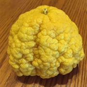 Bush Lemon