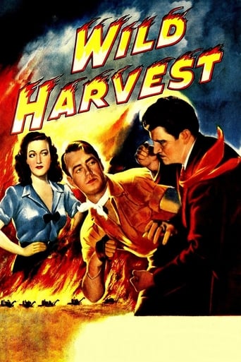 Wild Harvest (1947)