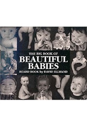 The Big Book of Beautiful Babies (David Ellwand)