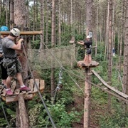 Treetop Trekking