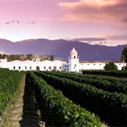 Wine Tasting in Cafayate, Argentina