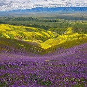 Carrizo Plain National Monument, California, USA