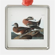 American Wigeon Ornament
