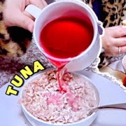 Tuna Sandwich and Fruit Punch