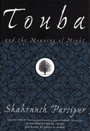 Touba and the Meaning of Night (Shahrnush Parsipur)