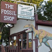 The Fossil Shop Drumheller