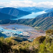Havelock, New Zealand