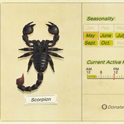Scorpion