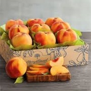 Fortyniner Peach