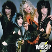 W.A.S.P