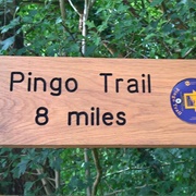 Pingo Trail