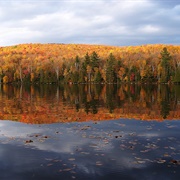 Ricker Pond Groton Vermont