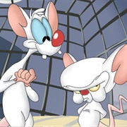 Pinky and the Brain