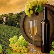 Visit a Vineyard and Sample the Wine